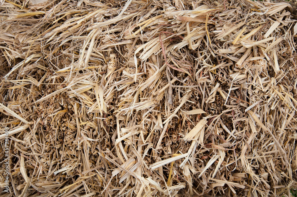 Dry straw, feed for animal husbandry and agriculture.