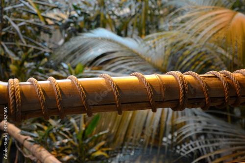 forest arrangement with bamboos entwined in each other. wet wood is overgrown with moss and water flows from it. wrapped ropes around in a spiral like a snake photo