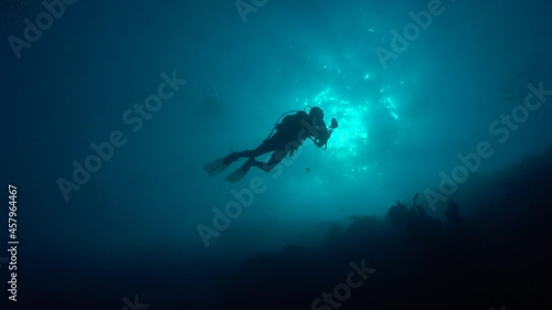 Wallpaper Mural Silhouette of Underwater Photographer in front of deep coral wall in the Philippines Torontodigital.ca