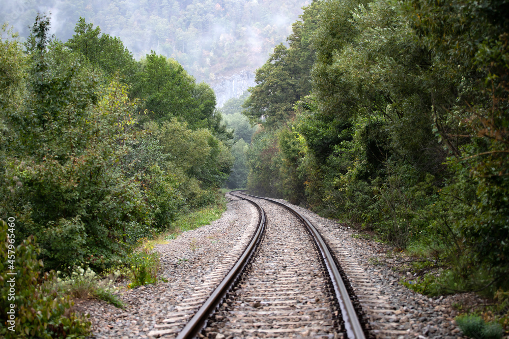 Fototapeta premium Railway track on a forest path