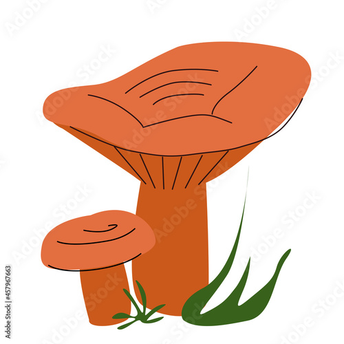 Edible orange mushrooms and grass in a hand-drawn style, isolated on a white background