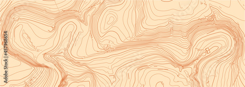 Abstract vector topographic map on white background