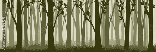 Tree Silhouette with Tall Trunk and Branched Top as Misty Forest Horizontal Backdrop Vector Illustration