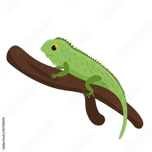 Fototapeta Naklejka Na Ścianę i Meble -  Cute funny iguana on a branch. White background. Vector image in cartoon flat style. Decor for children s posters, postcards, clothing and interior decoration