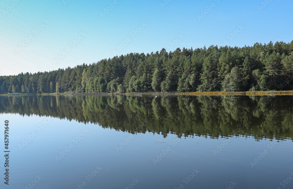 Summer serene landscape with green woods, its reflection in river water, clear blue sky horizon.