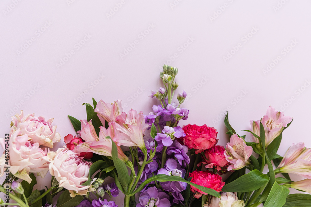 Aesthetic background with colourful red and pink rose flowers on pink background. Beautiful floral composition