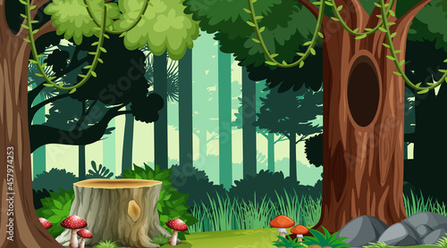 Nature forest landscape background