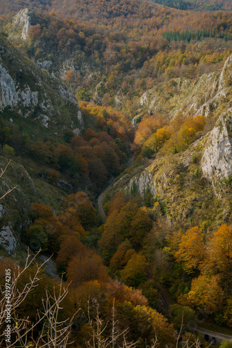 road between the trees and the mountains in autumn landscape