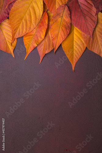 Wooden table of red-brown color with colorful autumn leaves of Cherry. Flat lay