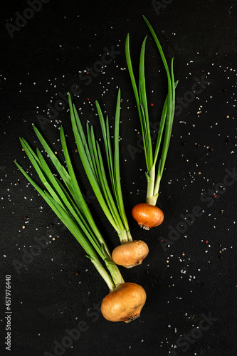 fresh green onions stuttgart with a green onion composition on a black background top view beautiful frame  levitation  fresh harvest of young green onions with fresh bulbs  bright background  beautif