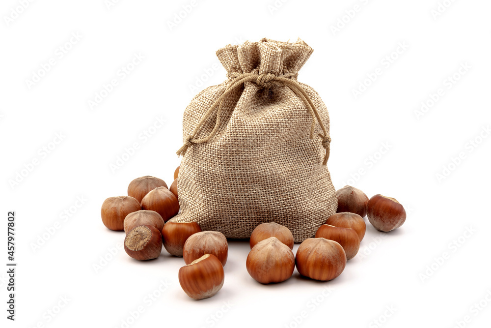 fresh hazelnuts in a canvas bag on white background fresh hazelnuts in a canvas bag on white background
