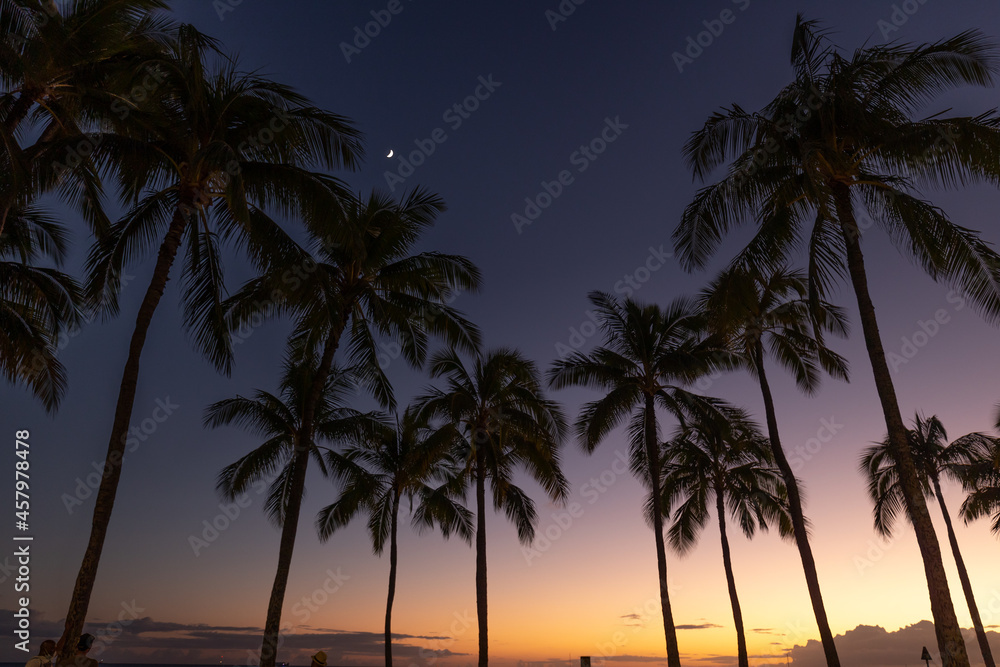 Palm trees at evening sunset in tropical resort