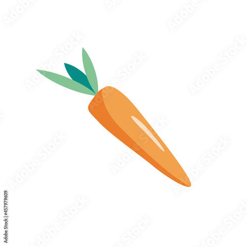 Carrots with tops, vector illustration.  For menu design, printed products. Isolated on a white background. 