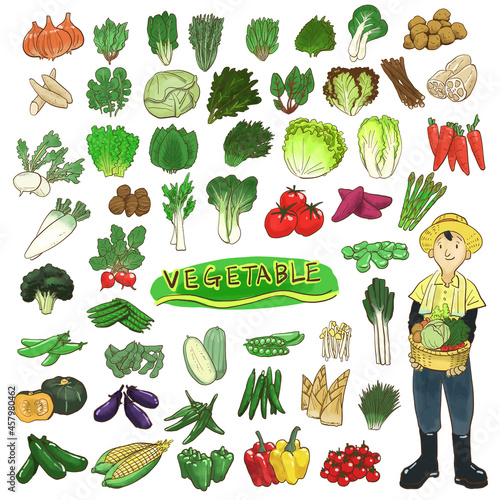 野菜　アイコン　手描き　素材セット