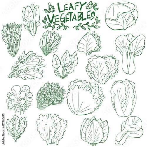 葉物野菜　アイコン　手描き線画　素材