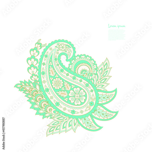 Paisley isolated. Card with paisley isolated for design. Floral vector pattern. Embroidery floral vector pattern.