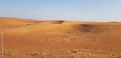 Landscapes
