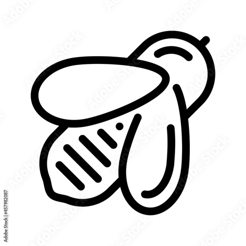 Honey Bee Icon