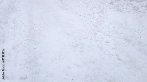 A black Setter dog runs quickly with a stick in its teeth on the white snow.