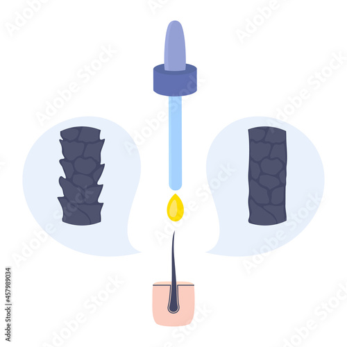 Organic essential oil for porous damaged hair treatment. Before after result. Pipette dropper with serum essence drop over hair follicle. Beauty concept vector illustration.