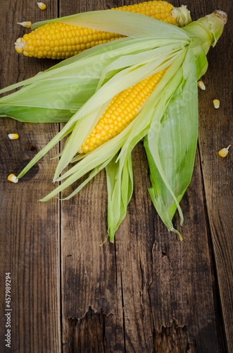 Two raw corn on dark wood table with empty place on the bottom