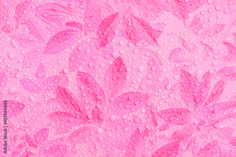 Obraz premium multiple exposure natural background pink abstraction water drops on leaves