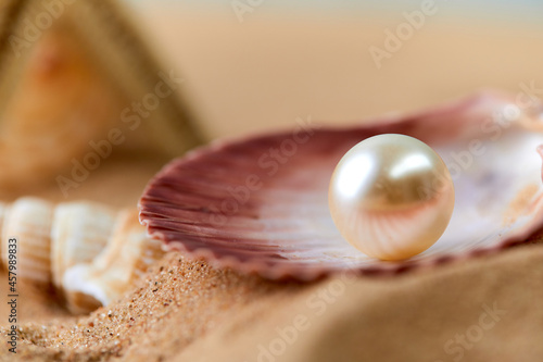 Opened and rare pearl placer on a blue sea background. Luxury and rich marine item.