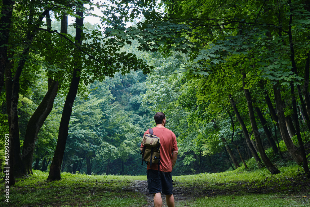 A man traveler walks through the woods. Beautiful wild nature landscape in forest. Hiking journey on tourist trail. Outdoor adventure. Travel and exploration. Healthy lifestyle, leisure activities A man traveler walks through the woods. Beautiful wild nature landscape in forest. Hiking journey on tourist trail. Outdoor adventure. Travel and exploration. Healthy lifestyle, leisure activities