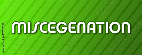Miscegenation - text written on green background with abstract lines photo