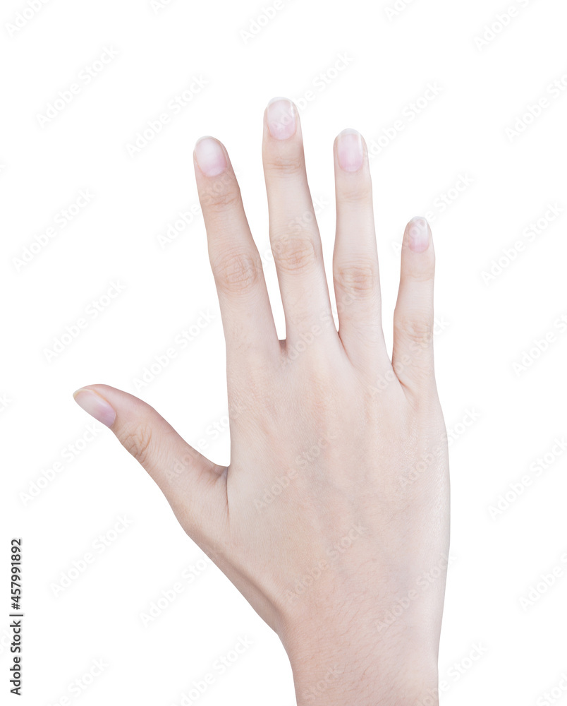 Female beautiful talent hand, arm fingernails fingers in good shape skin figure gesture, isolated Female beautiful talent hand, arm fingernails fingers in good shape skin figure gesture, isolated