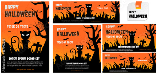 Halloween images for social networks , black cat with orange background
