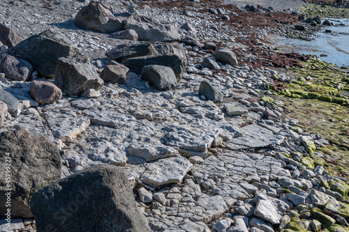 landscape in vormsi island photo