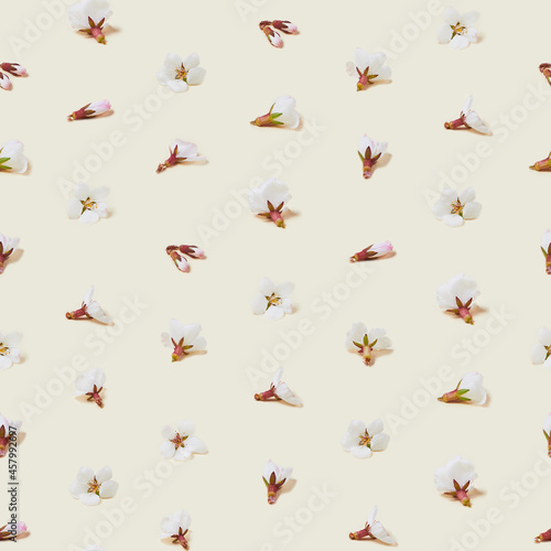 Cherry blossoms on light background. Seamless pattern. © Mary_AMM