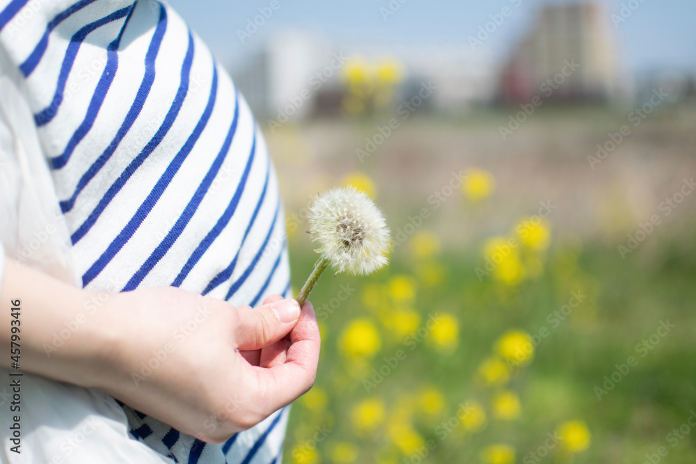 A young pregnant Asian woman holding a dandelion seed on a sunny day