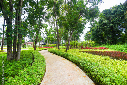 Park tree in the morning with footpath pathway with green plant and flower wood tree, beautiful city park garden nature environment