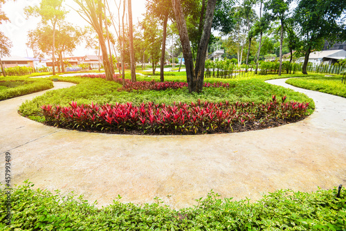 Park tree in the morning with footpath pathway with green plant and flower wood tree, beautiful city park garden nature environment