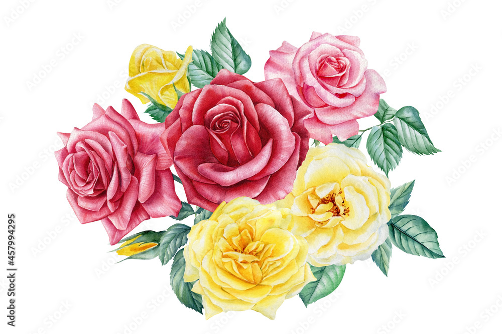 Roses. Hand drawn watercolor painting on white background. bouquet of pink and yellow flowers