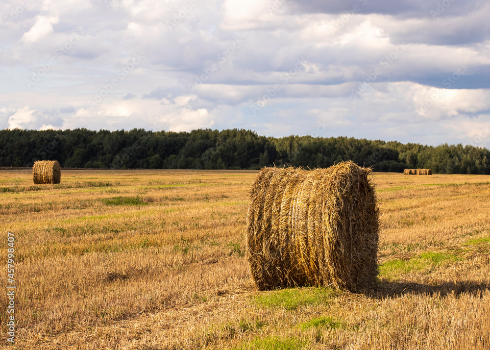  Round hay bale on the autumn field under cloudy sky