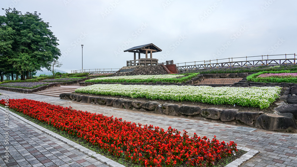 Fototapeta premium 関越自動車道 信濃川を一望できる越後川口サービスエリアの花壇(新潟県長岡市)
