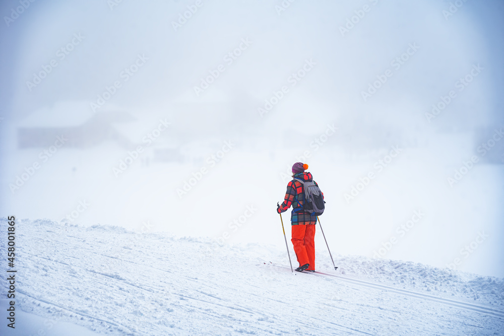 Woman skiing in snow covered valley in winter misty day. Back view. Silhouettes of village houses at background. Jura, France. Winter sports and travel. Healthy lifestyle concept. Selective focus