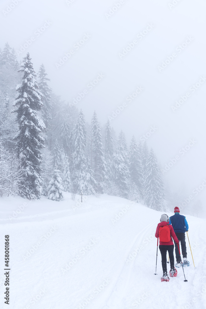 Couple hiking is snowshoes with nordic walking sticks in snow covered fir forest in winter misty day. Back view. Jura, France. Winter sports and travel background. Healthy lifestyle concept.