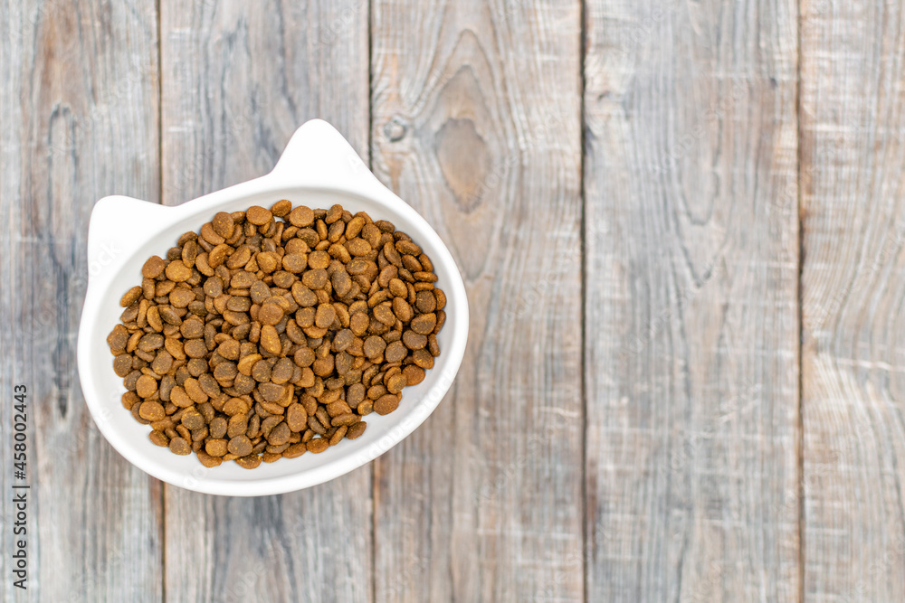 Cat head shaped bowl is filled with dry food on the floor background, copy space. Domestic animals pets healthy diet, choice of feline feed, balanced nutrition and healthcare of cats and kitten. Cat head shaped bowl is filled with dry food on the floor background, copy space. Domestic animals pets healthy diet, choice of feline feed, balanced nutrition and healthcare of cats and kitten.