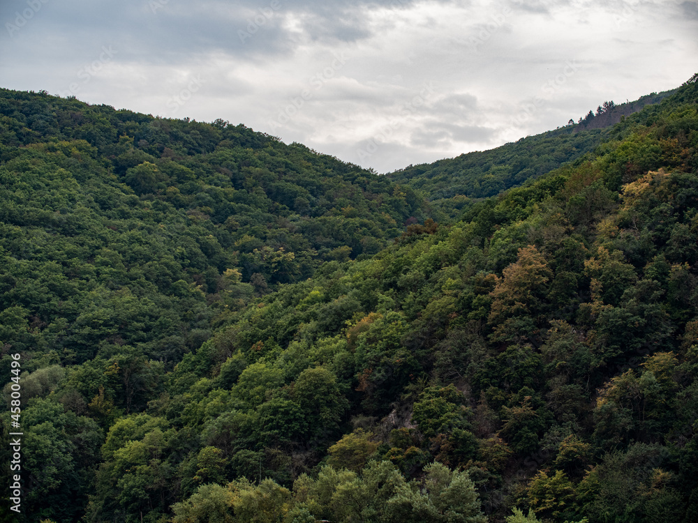 Berge, Schluchten und dichter Wald entlang des Rheins an einem bewölkten Tag im September.