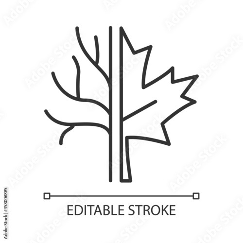 Maple tree linear icon. Official canadian emblem. Species of trees in Canada. Maple leaf symbol. Thin line customizable illustration. Contour symbol. Vector isolated outline drawing. Editable stroke