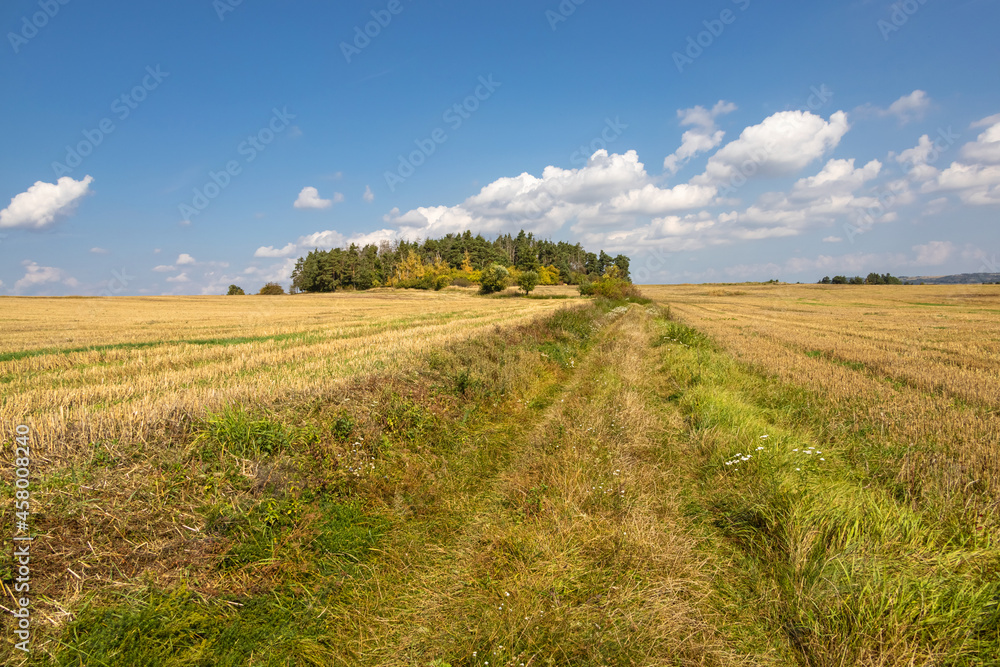 Autumn landscape with dirt road between stubble fields
