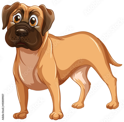 Boxer dog cartoon on white background