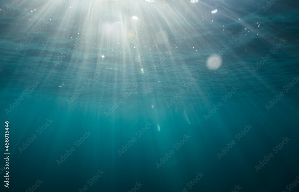 Underwater view of light rays coming through water surface