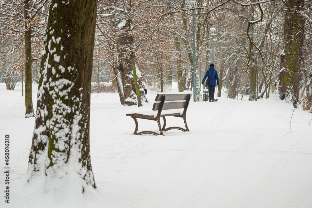 bench in a city park covered with fresh snow, city park in a winter season