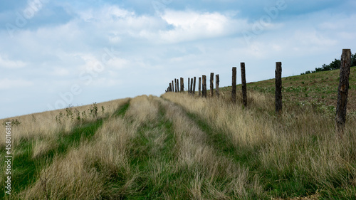 Lane in the field to nowhere © wonderfulsnaps