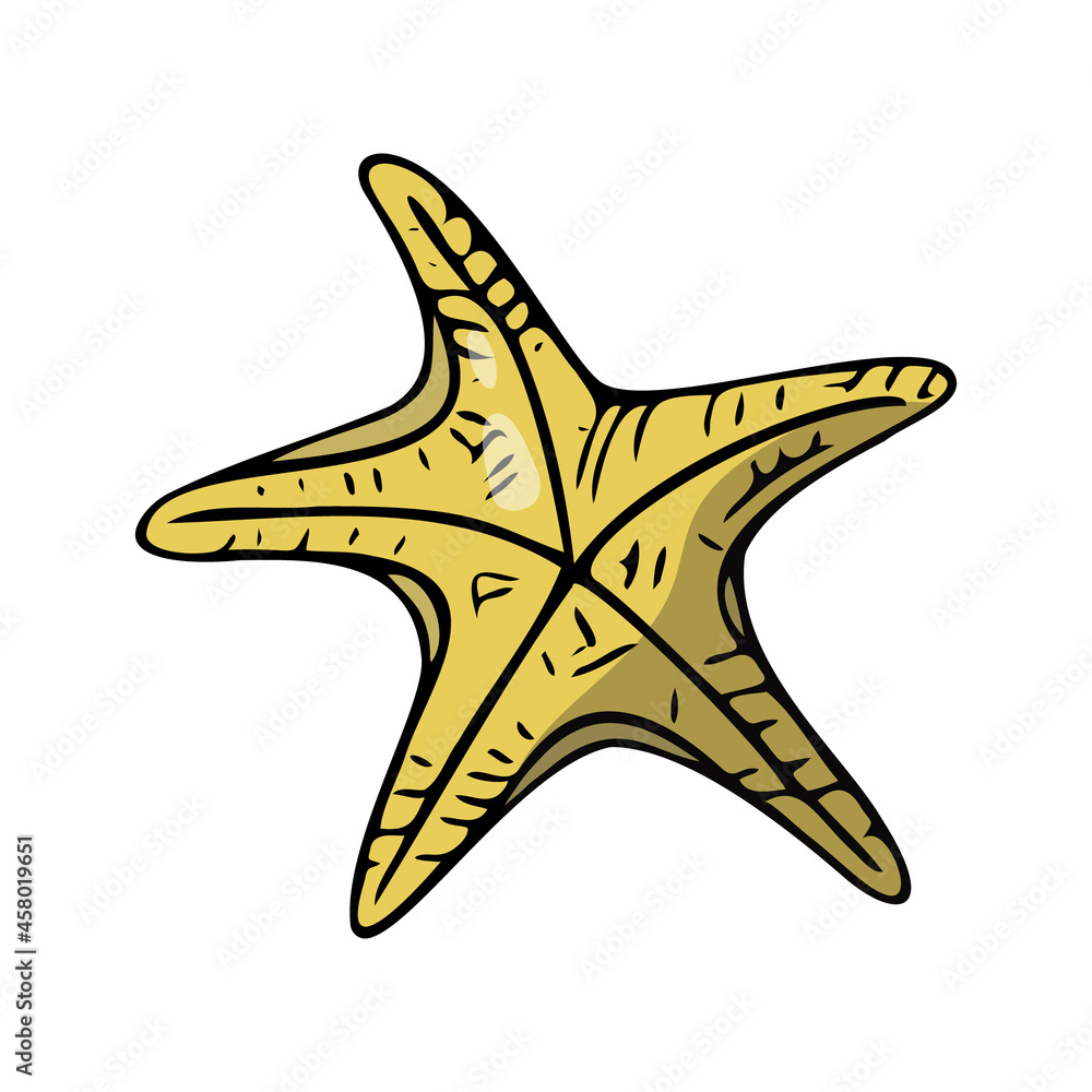 Flat starfish, hand-drawn sea symbol. Five-finger organism painted by ink, pen. Line, colored doodle, minimalism. Simple sketchy icon. Isolated. Vector illustration. Flat starfish, hand-drawn sea symbol. Five-finger organism painted by ink, pen. Line, colored doodle, minimalism. Simple sketchy icon. Isolated. Vector illustration.